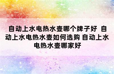 自动上水电热水壶哪个牌子好  自动上水电热水壶如何选购 自动上水电热水壶哪家好